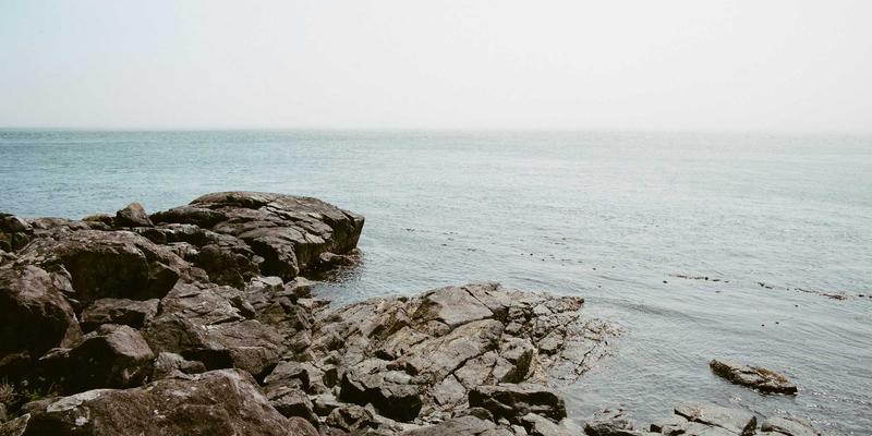 九酒爱12:当赛博朋克美学重构品酒文化新维度