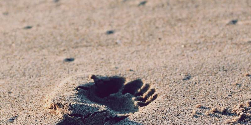 九酒爱25：探索葡萄酒世界的优雅与传承