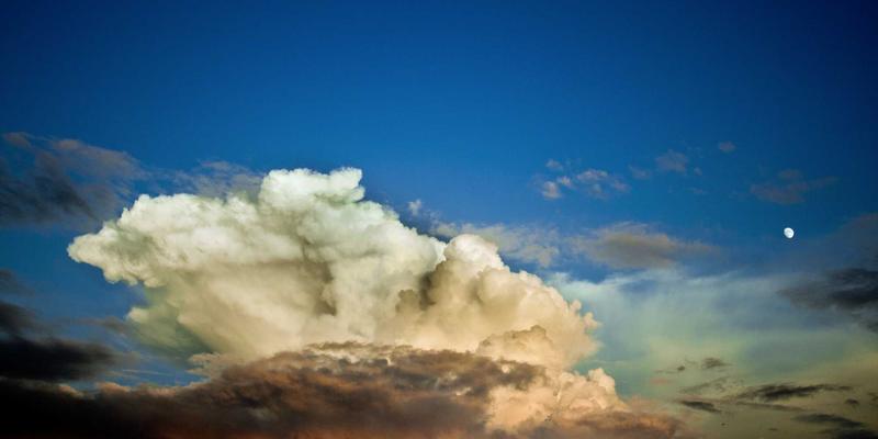 九酒爱26:当威士忌遇见赛博朋克,一场颠覆传统的品酒文化实验