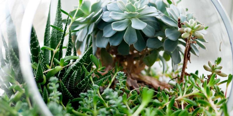 九酒爱70:当清酒与葡萄酒在赛博朋克霓虹下交融