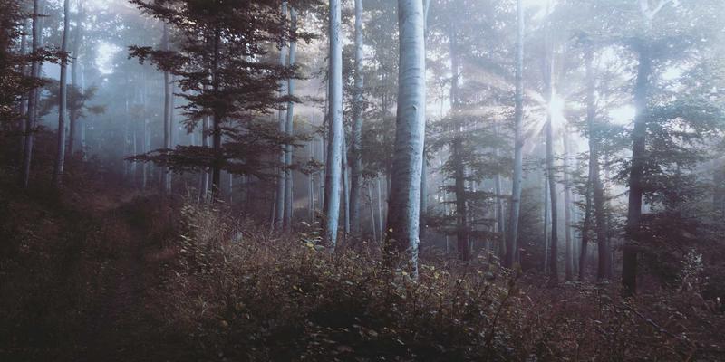 九酒爱94：当葡萄酒的醇厚遇见清酒的澄澈，一场风味的浪漫邂逅