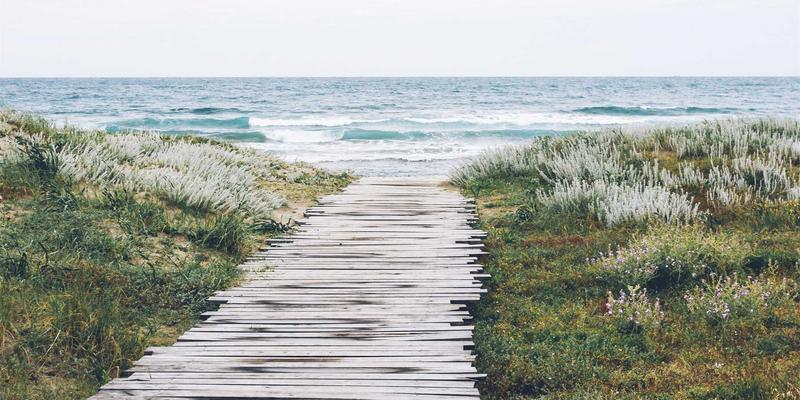 九酒爱会员体系深度解析：如何通过赛博朋克品酒体验与积分权益提升威士忌用户忠诚度