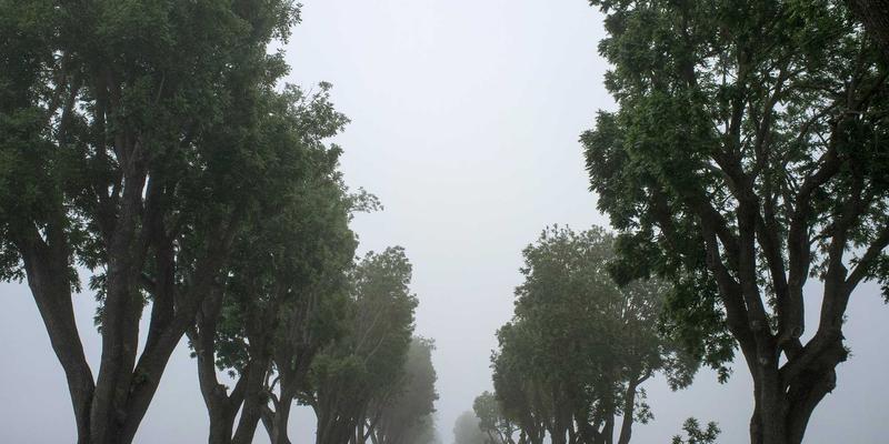 九酒爱会员体系深度解析：解锁威士忌与清酒世界的专属权益与积分兑换全攻略