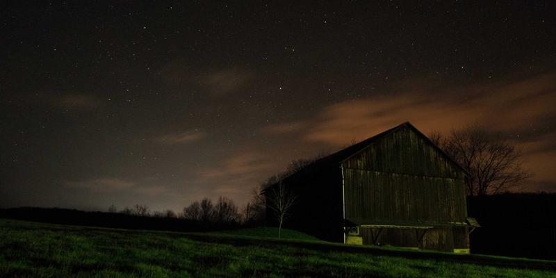 九酒爱威士忌投资指南：如何慧眼识珠，发掘具有升值潜力的限量酒款