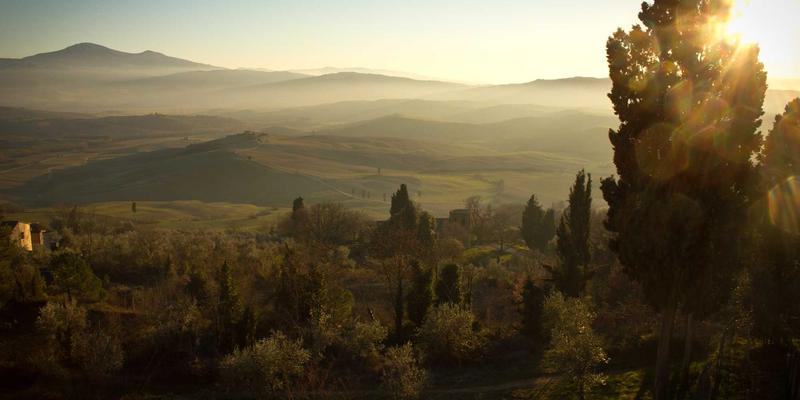 九酒爱应用:数字时代的品酒文化新体验,探索清酒与葡萄酒的醇美世界