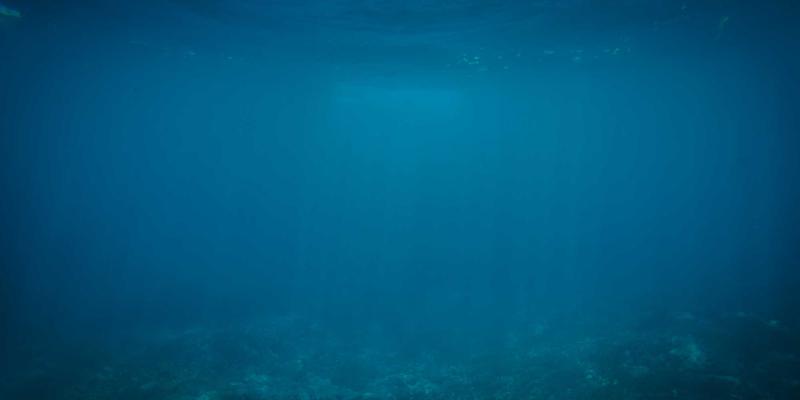 九酒爱技巧:当威士忌邂逅葡萄酒,在赛博朋克光影中重塑品酒哲学