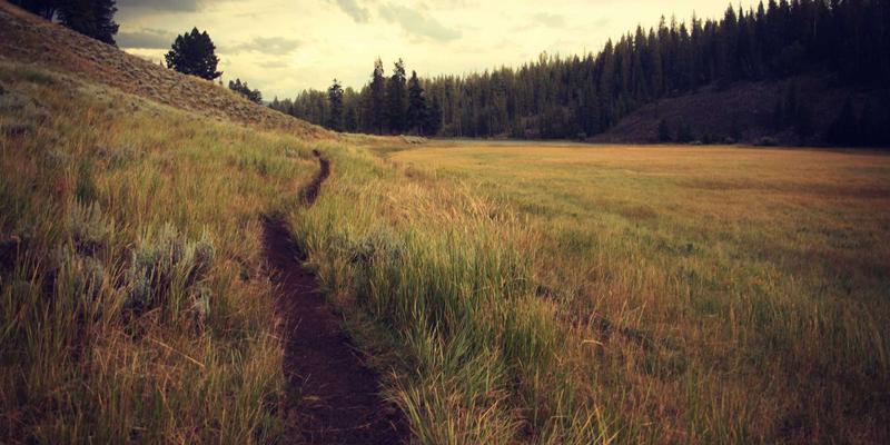 九酒爱社区运营策略：构建威士忌与赛博朋克品酒高端圈层的实战指南