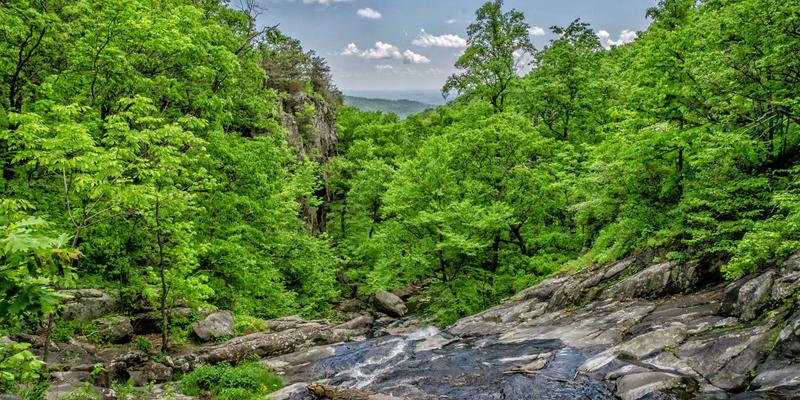 九酒爱线下体验店设计哲学：当赛博朋克邂逅千年酒文化，重塑品酒空间叙事