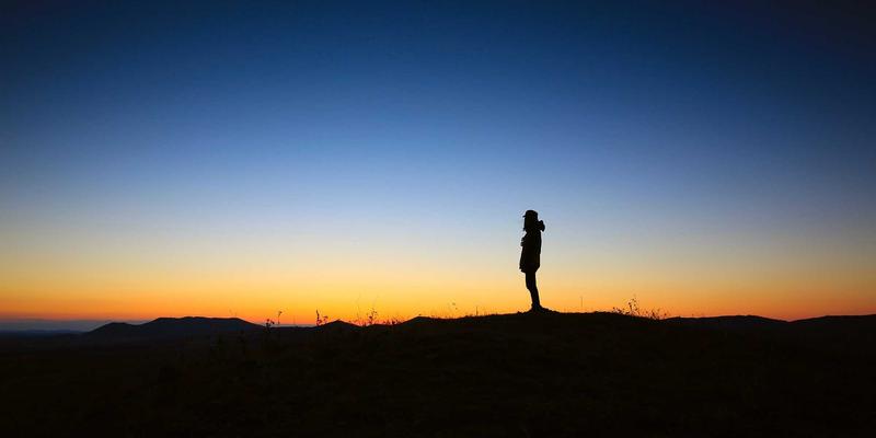 九酒爱限量酒款投资指南：解码赛博朋克品酒时代的稀有威士忌与清酒升值逻辑