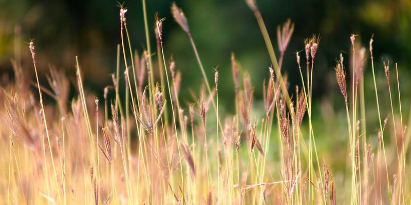 当清酒遇见AI：九酒爱如何用赛博朋克品酒重塑个性化荐酒与客户服务