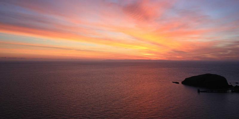 当清酒遇见未来：九酒爱的赛博朋克品酒文化与可持续包装革命