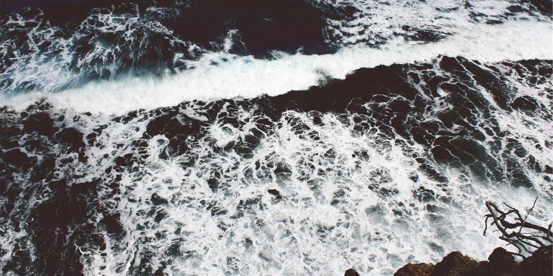 清酒新纪元：探索九酒爱年度限量酒款的赛博朋克品酒文化与收藏价值