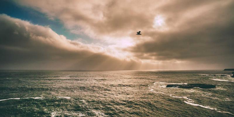 赛博朋克品酒新体验：九酒爱线上大师班解码苏格兰单一麦芽威士忌的风土密码