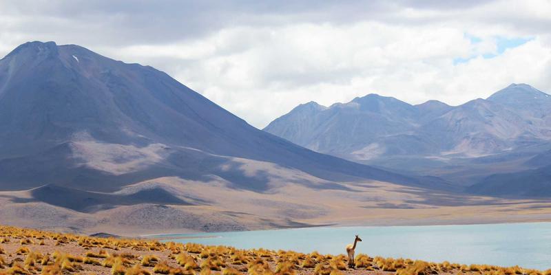 赛博朋克品酒时代：解析威士忌如何从酒类产品跃升为生活方式符号